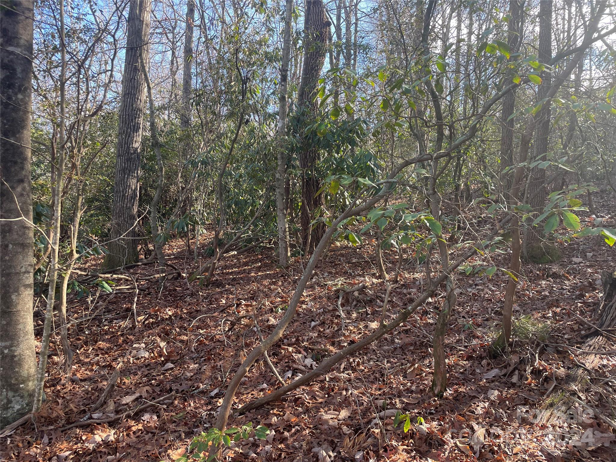 146 Center Street Black Mountain NC 28711