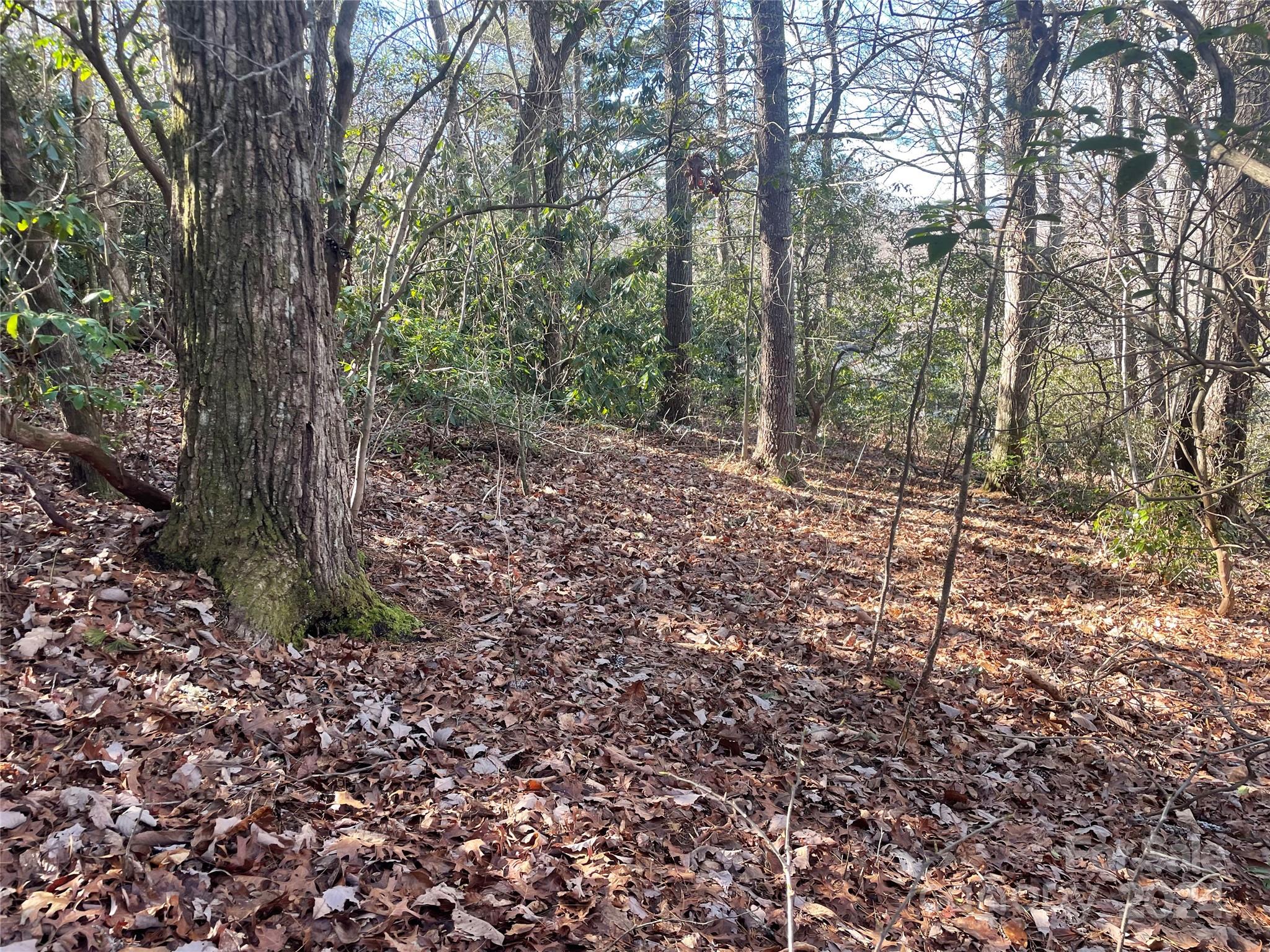 146 Center Street Black Mountain NC 28711