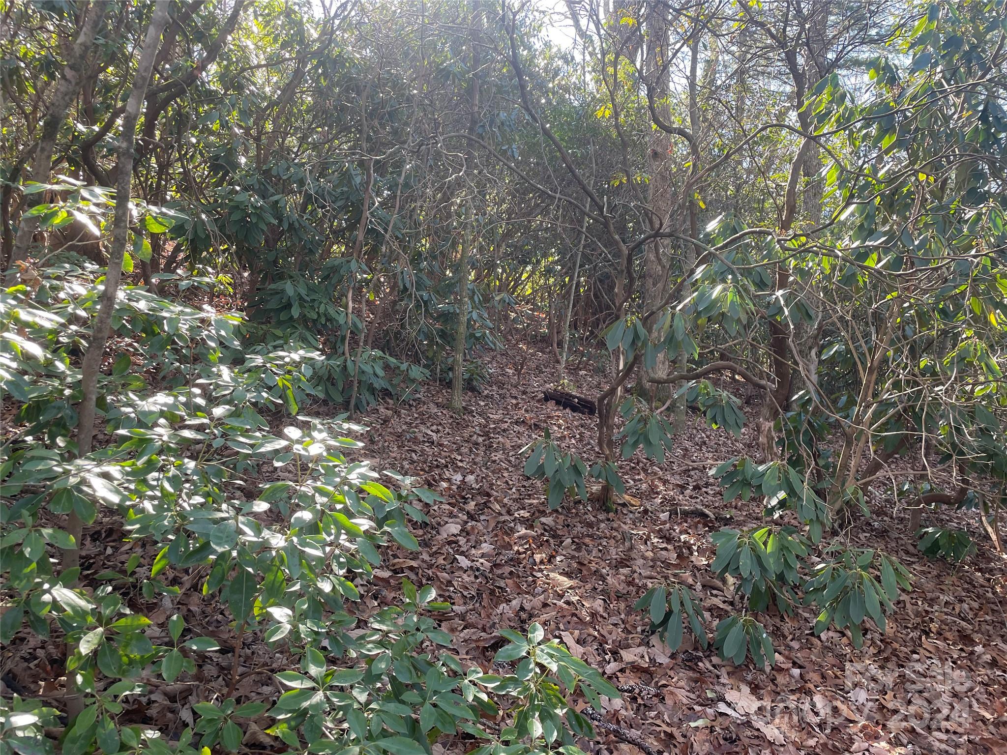 146 Center Street Black Mountain NC 28711