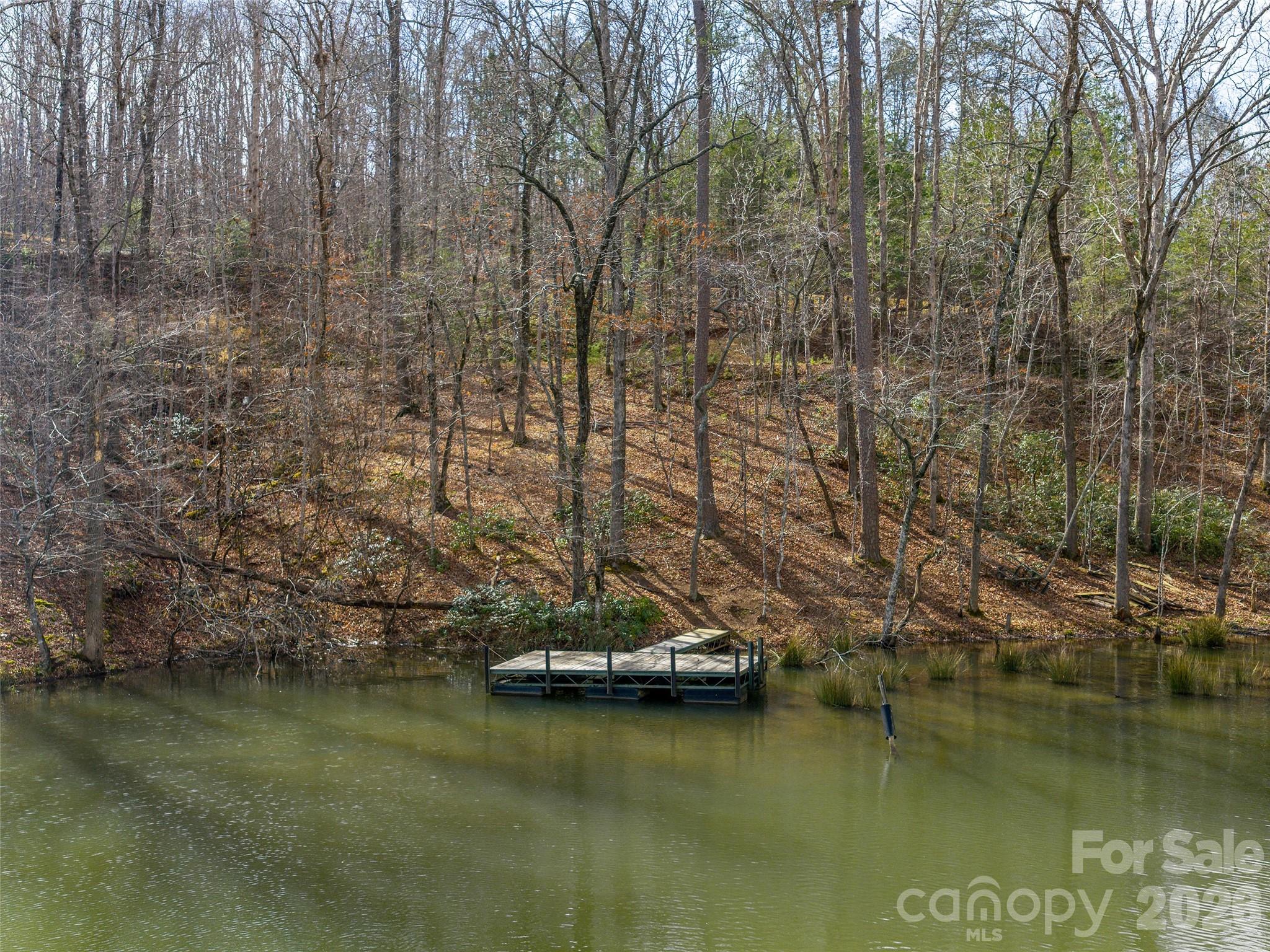 Lots 22 & 23 Lake Adger Parkway Mill Spring NC 28756