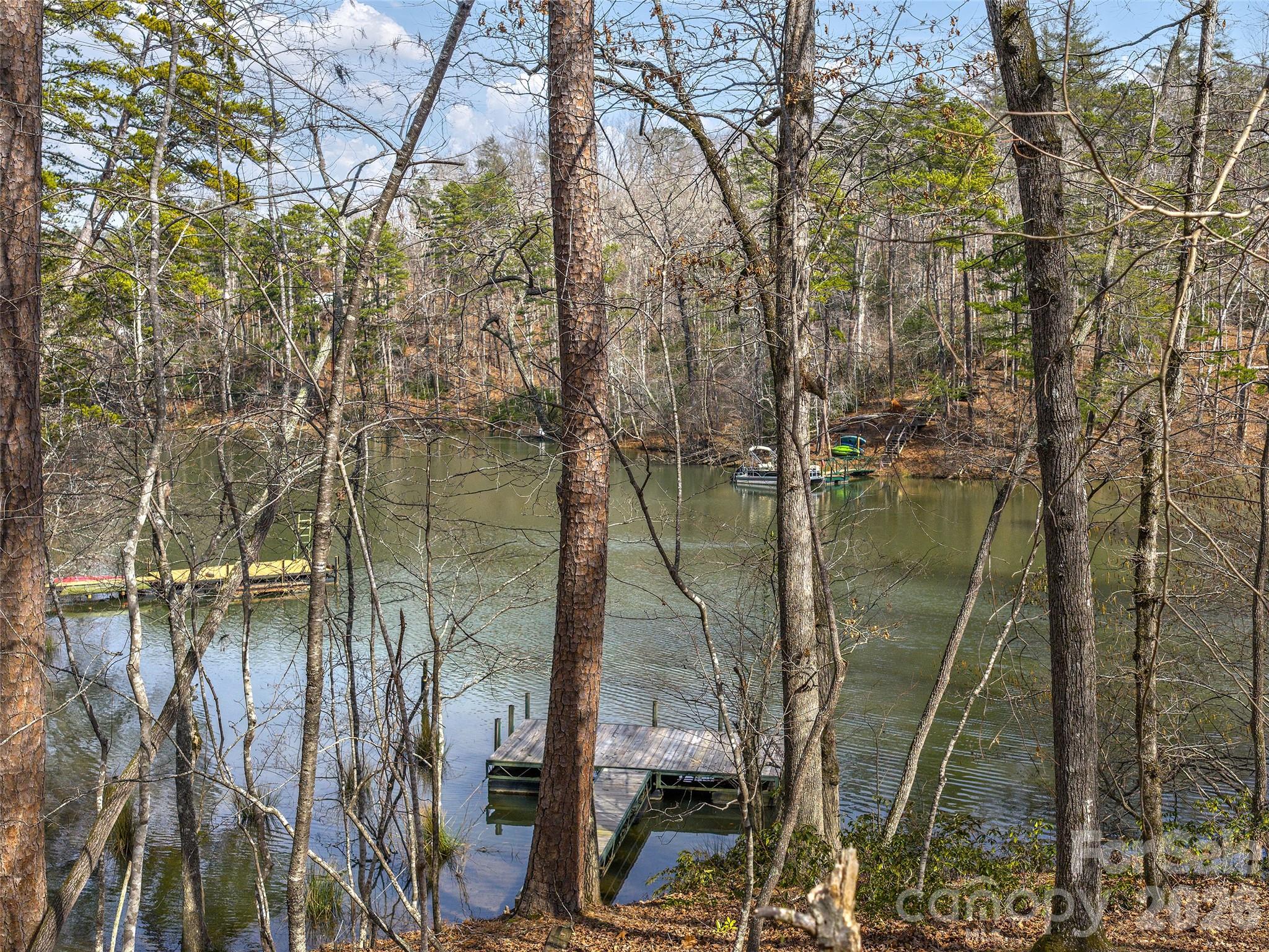 Lots 22 & 23 Lake Adger Parkway Mill Spring NC 28756