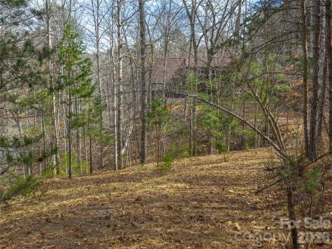 Lots 22 & 23 Lake Adger Parkway Mill Spring NC 28756