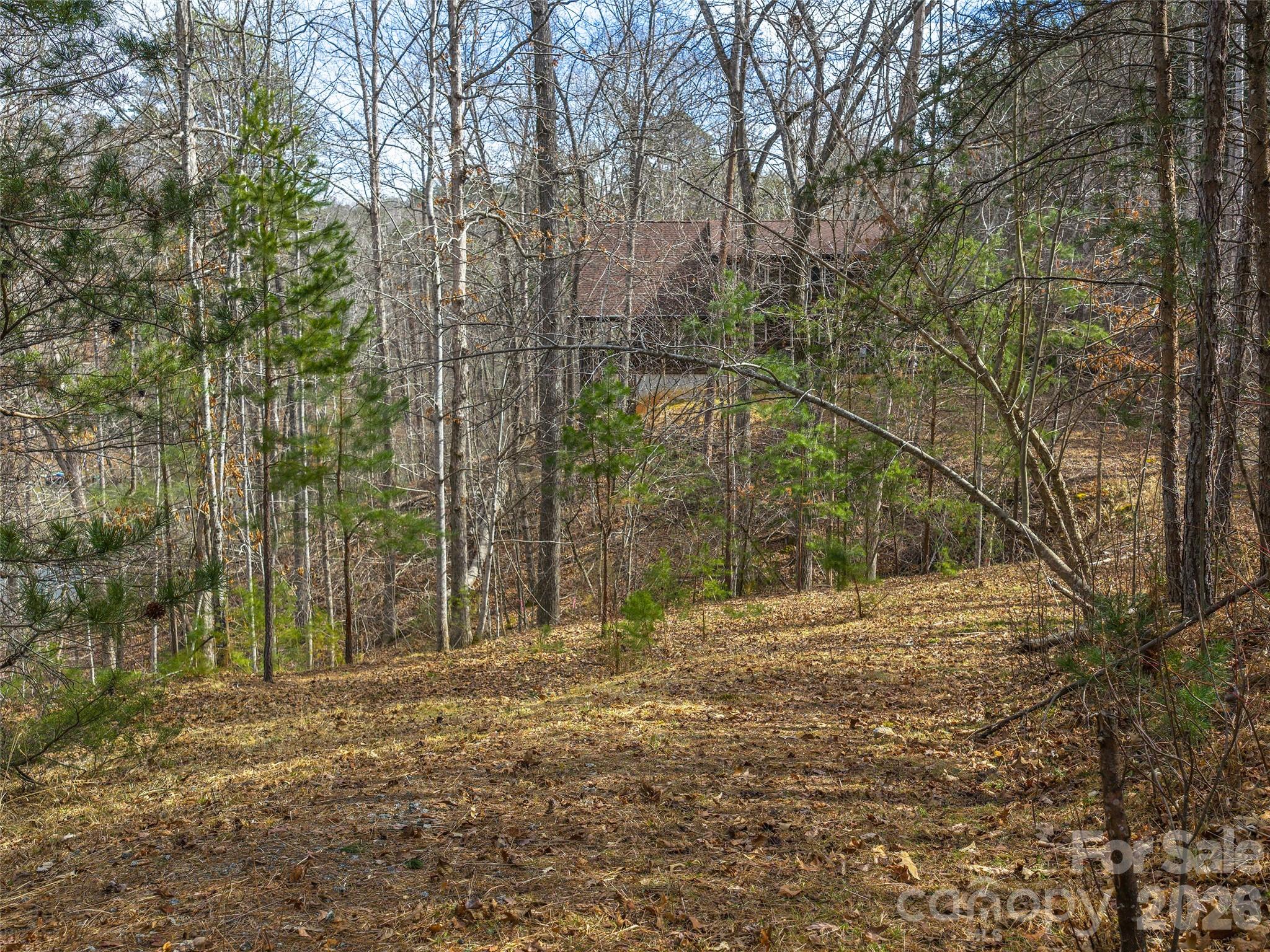 Lots 22 & 23 Lake Adger Parkway Mill Spring NC 28756