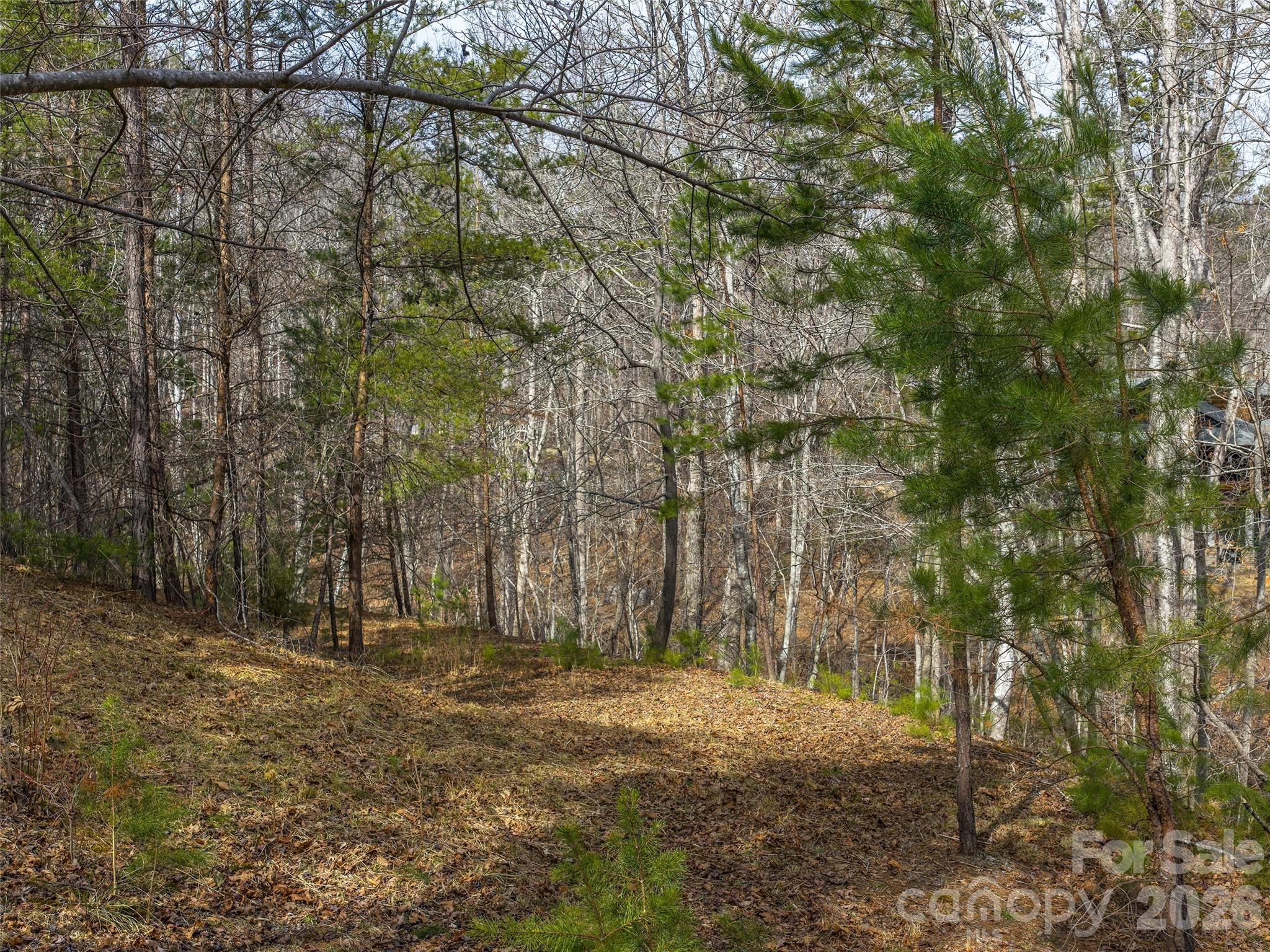 Lots 22 & 23 Lake Adger Parkway Mill Spring NC 28756