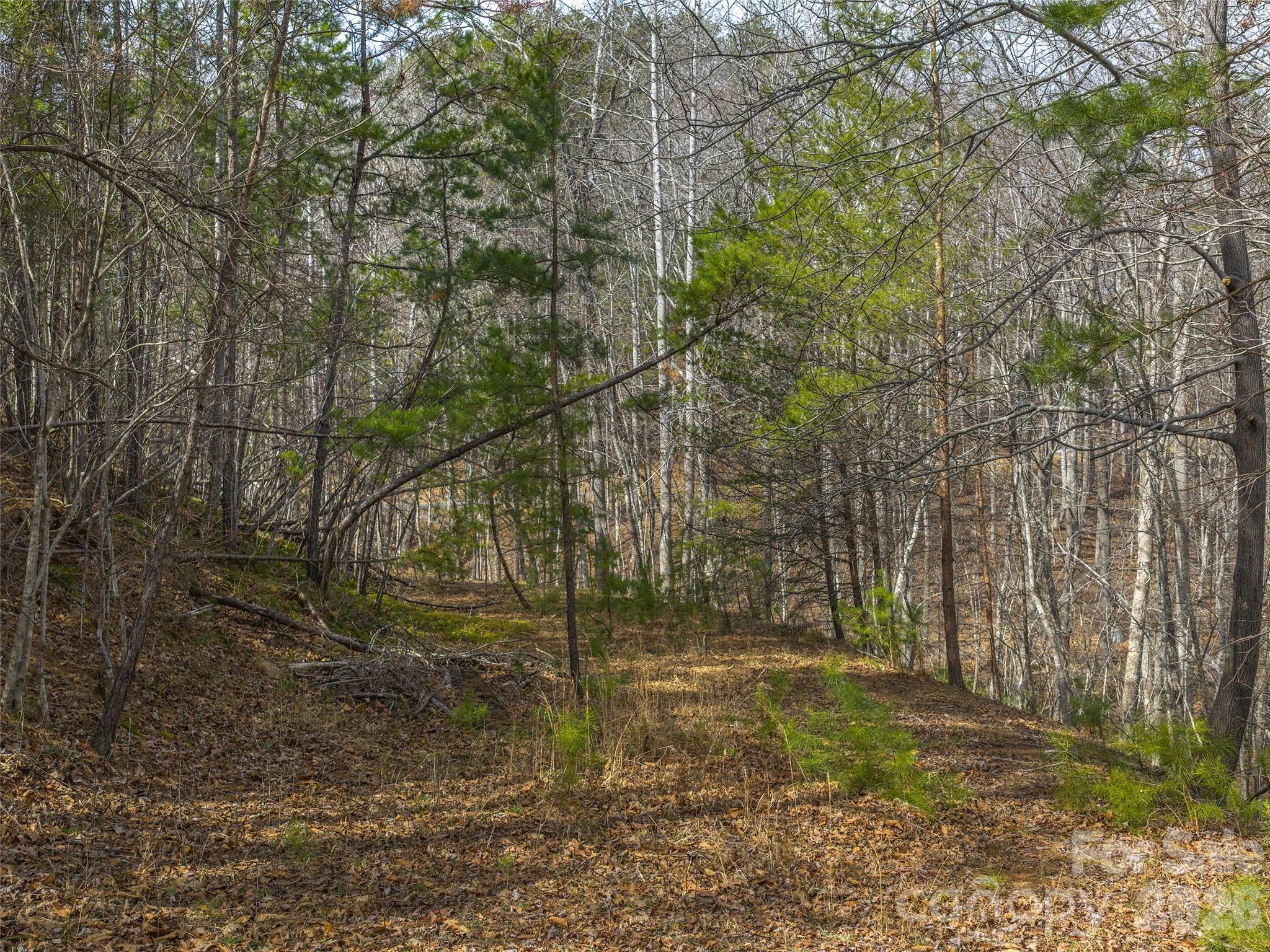 Lots 22 & 23 Lake Adger Parkway Mill Spring NC 28756