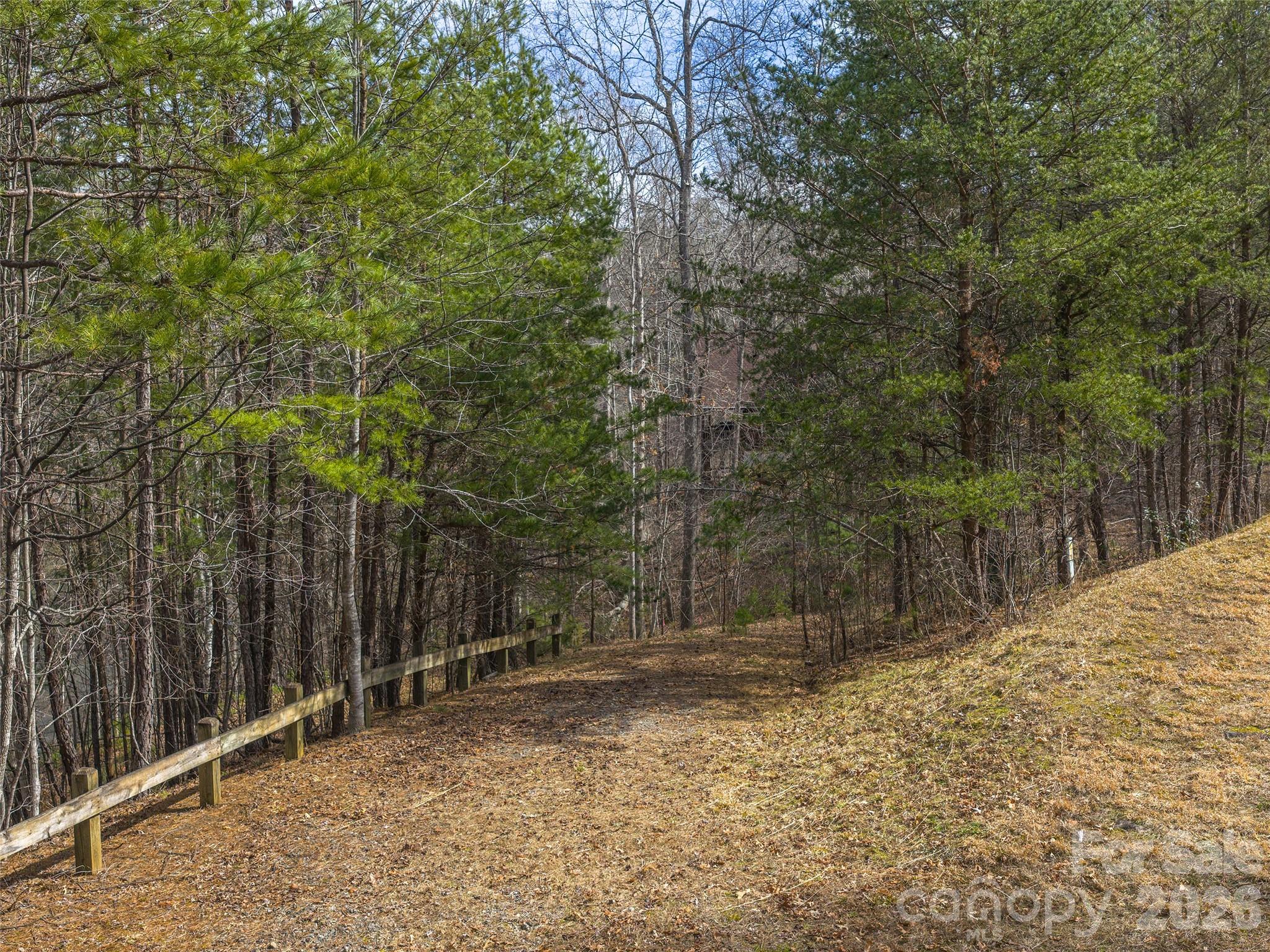 Lots 22 & 23 Lake Adger Parkway Mill Spring NC 28756