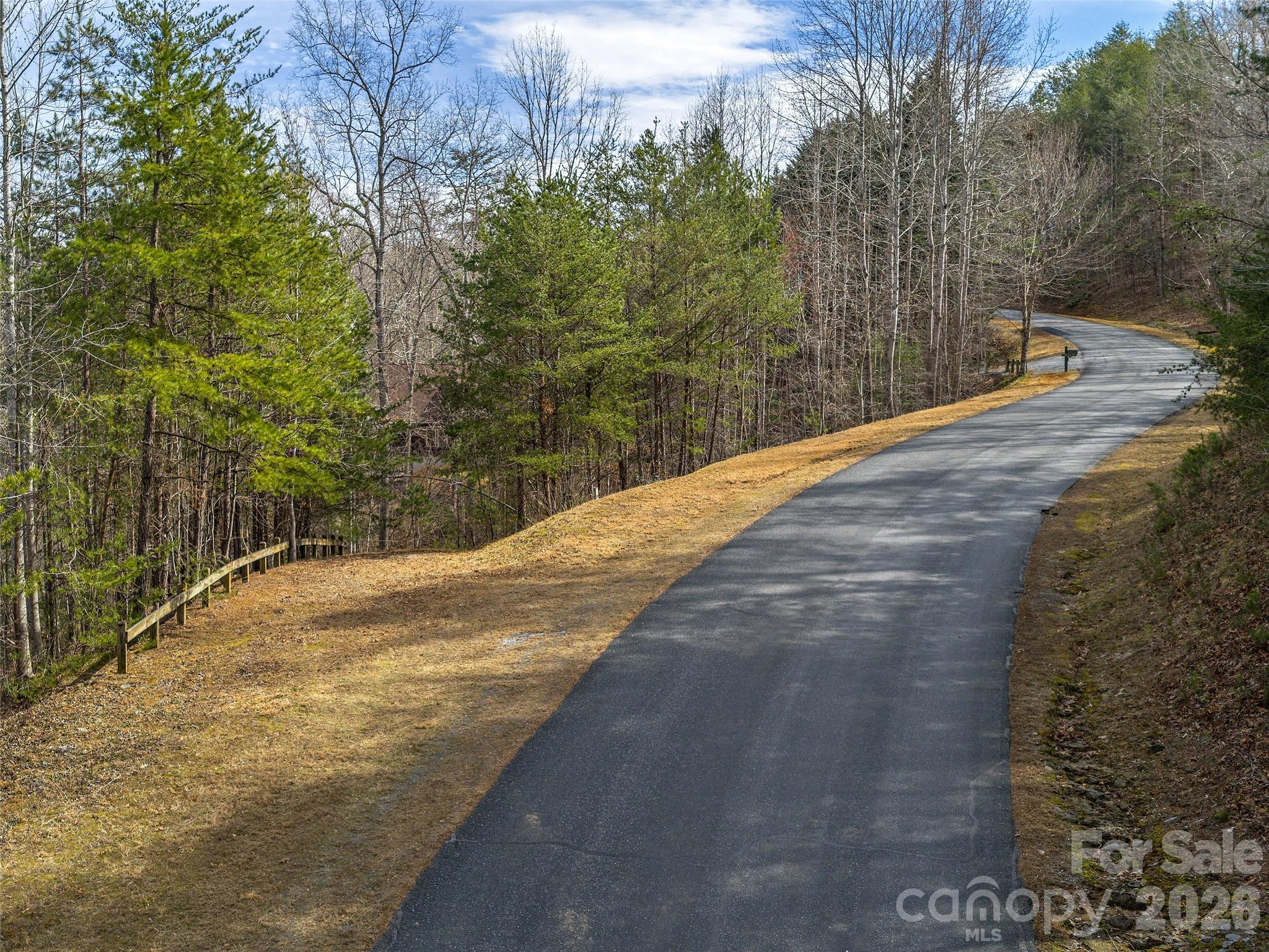 Lots 22 & 23 Lake Adger Parkway Mill Spring NC 28756