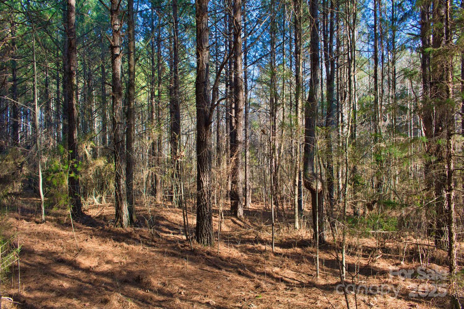0 Clearwater Parkway Rutherfordton NC 28139