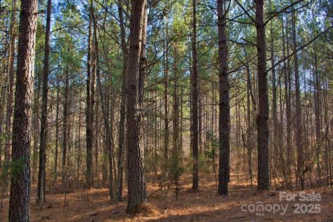 0 Clearwater Parkway Rutherfordton NC 28139
