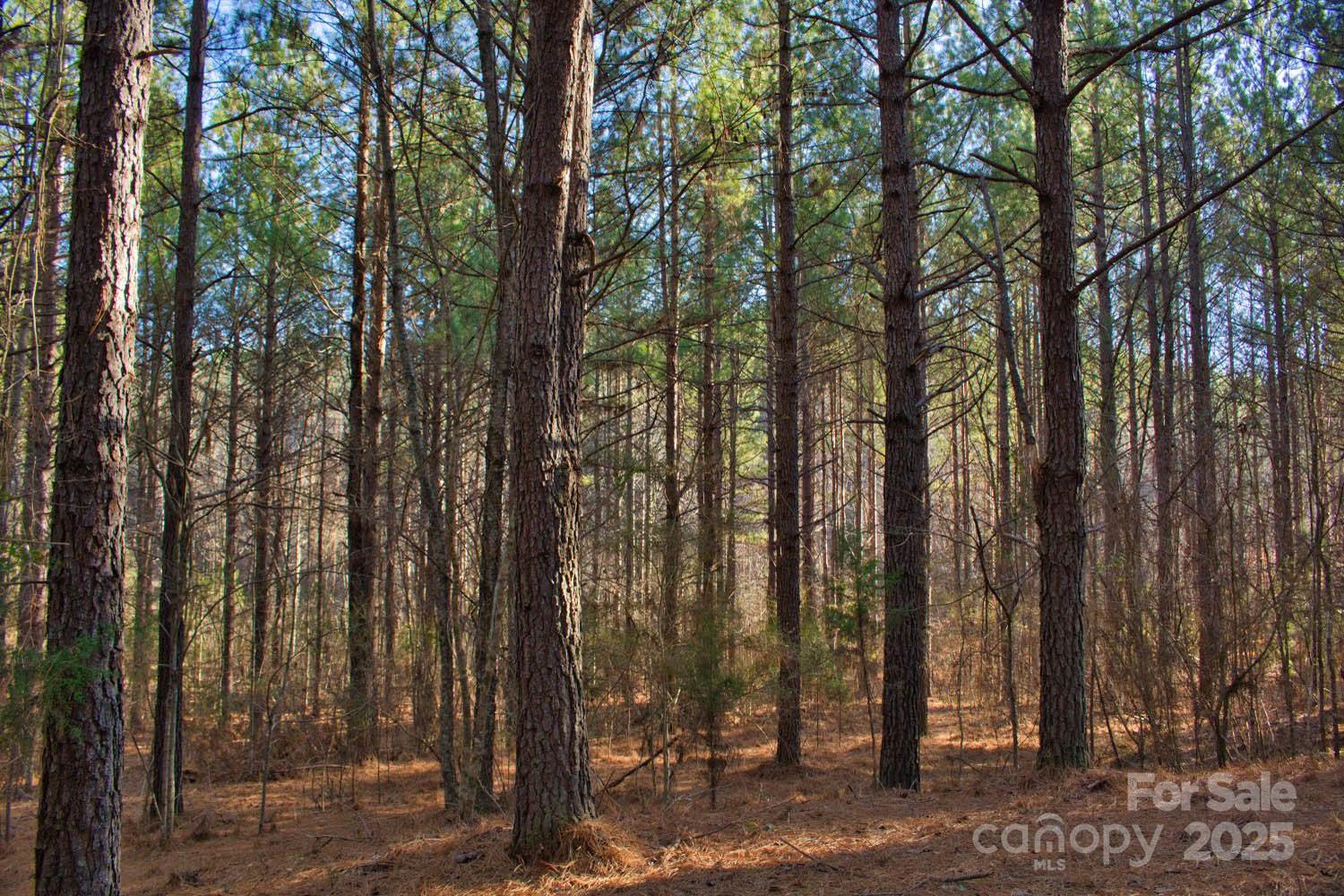 0 Clearwater Parkway Rutherfordton NC 28139