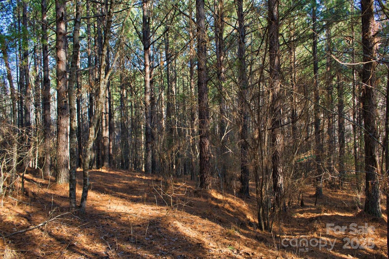 0 Clearwater Parkway Rutherfordton NC 28139