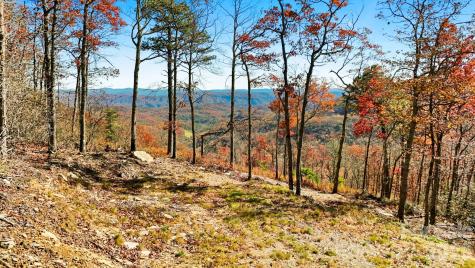 Lot 23 Bluebell Trail Boone NC 28607