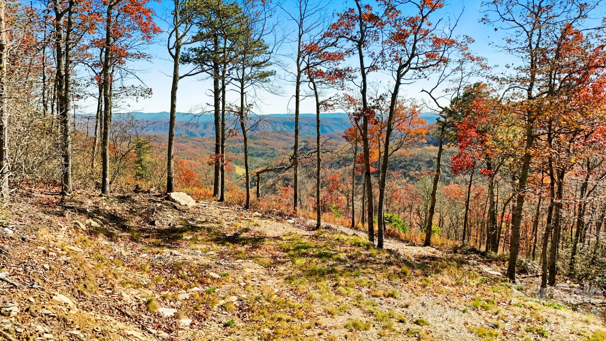 Lot 23 Bluebell Trail Boone NC 28607