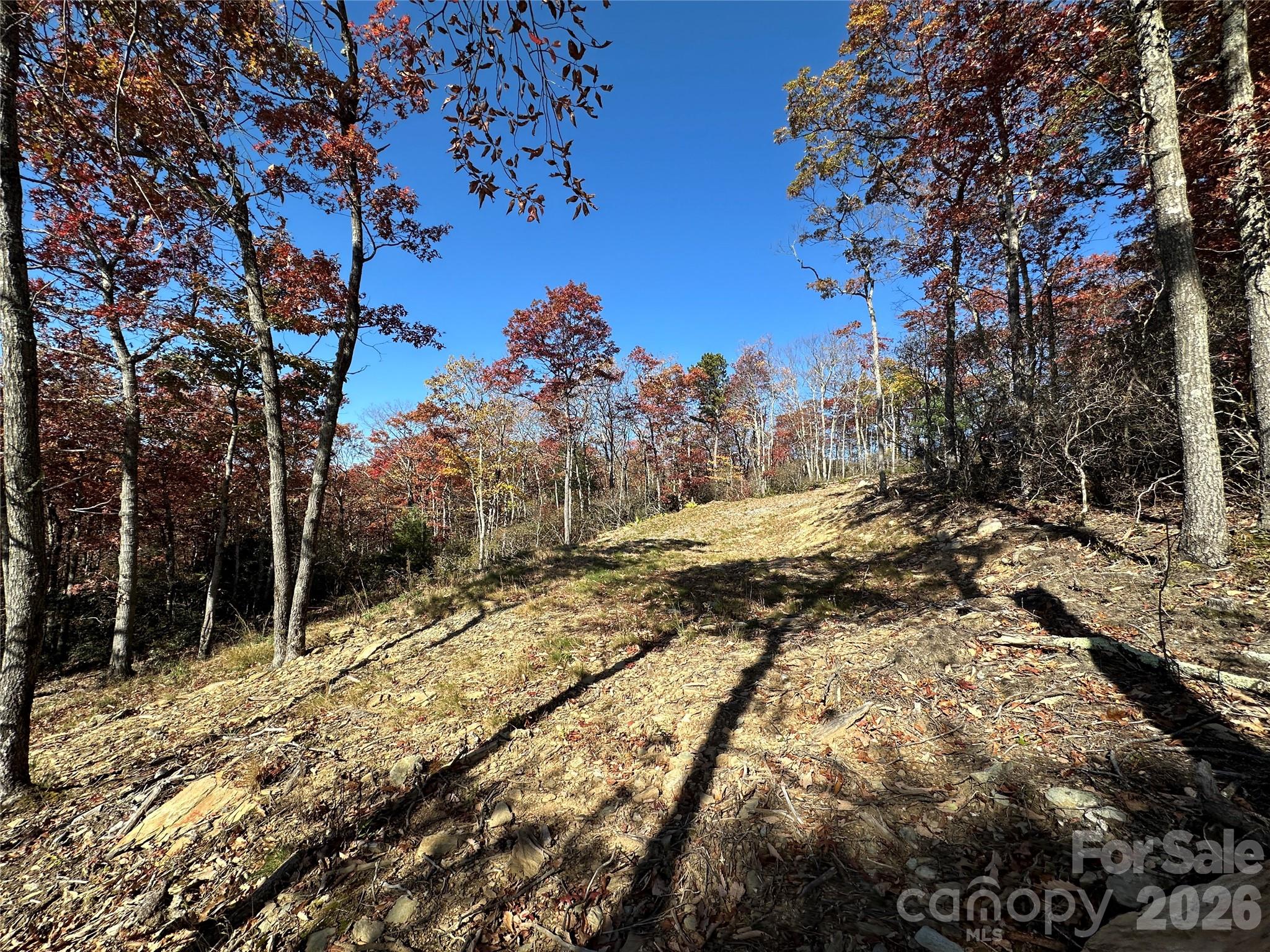 Lot 23 Bluebell Trail Boone NC 28607