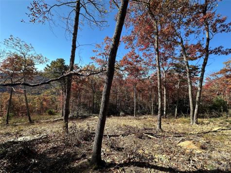 Lot 23 Bluebell Trail Boone NC 28607