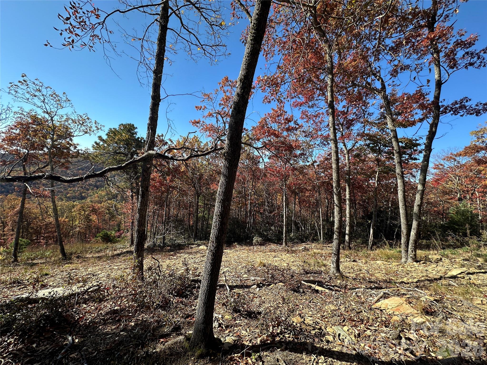 Lot 23 Bluebell Trail Boone NC 28607