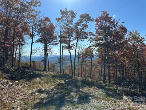 Lot 23 Bluebell Trail Boone NC 28607
