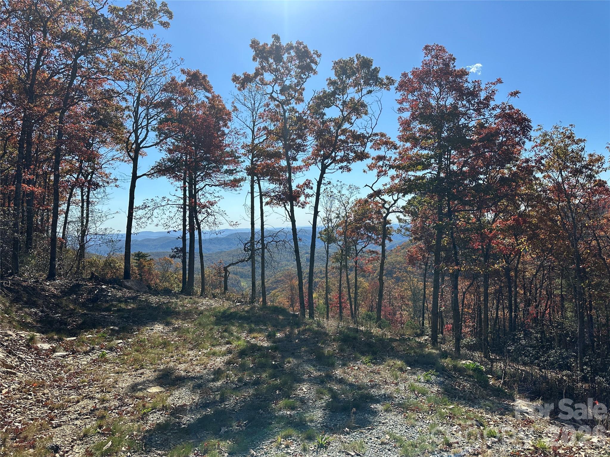 Lot 23 Bluebell Trail Boone NC 28607