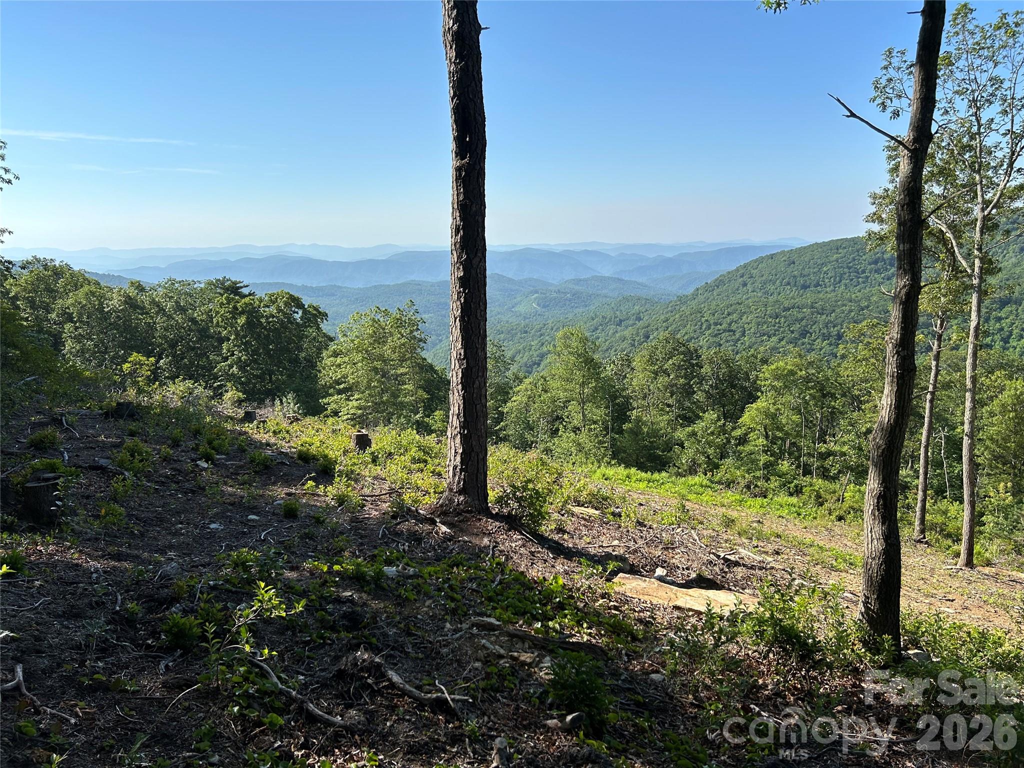 Lot 23 Bluebell Trail Boone NC 28607