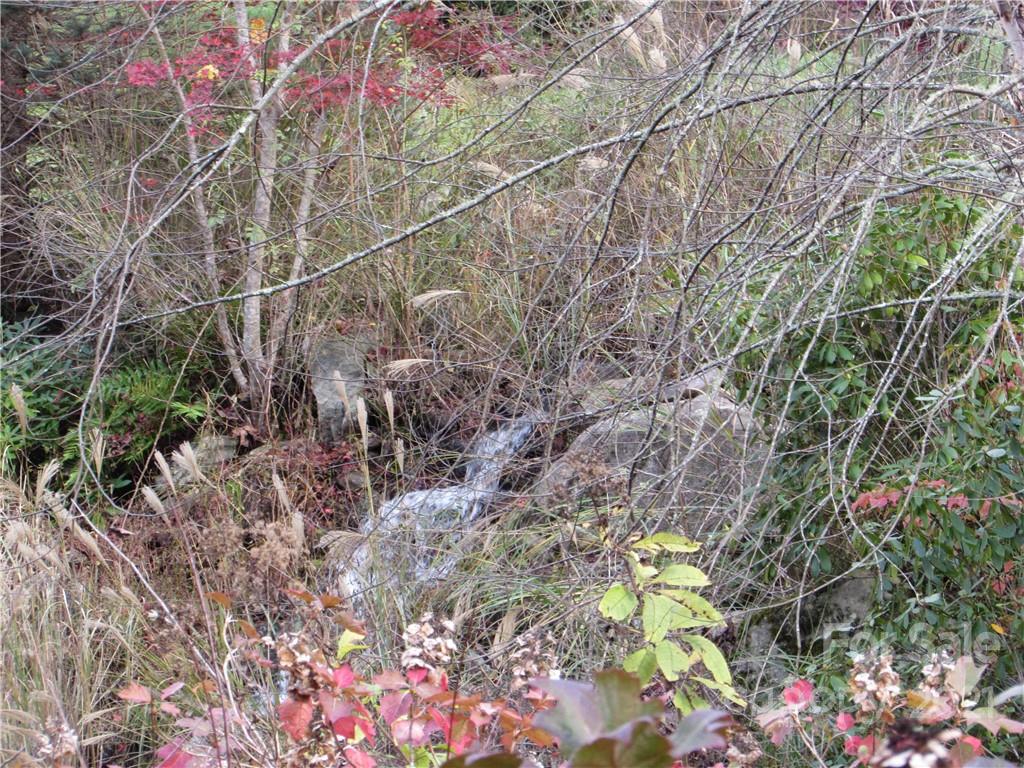 E- 6 Red Wolf Run Mars Hill NC 28754