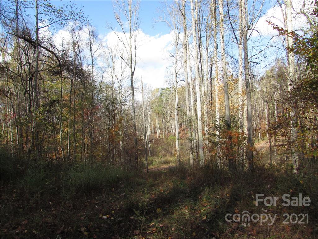 E- 6 Red Wolf Run Mars Hill NC 28754