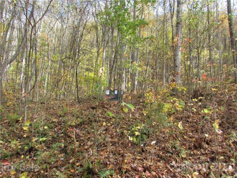 E- 6 Red Wolf Run Mars Hill NC 28754