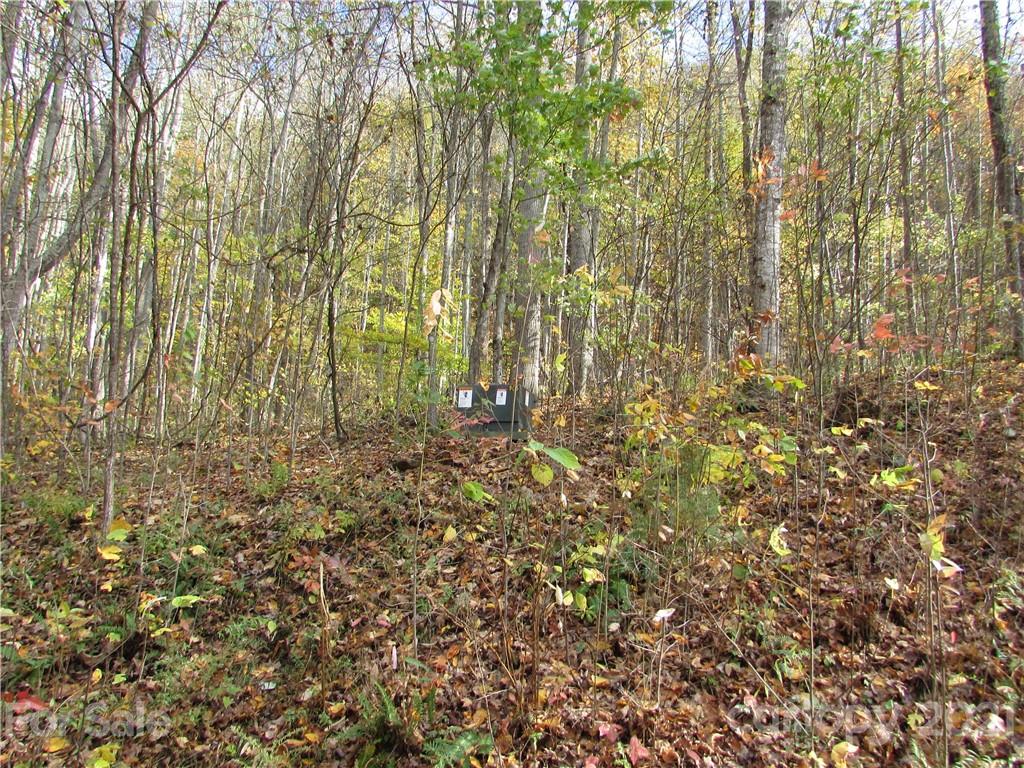 E- 6 Red Wolf Run Mars Hill NC 28754