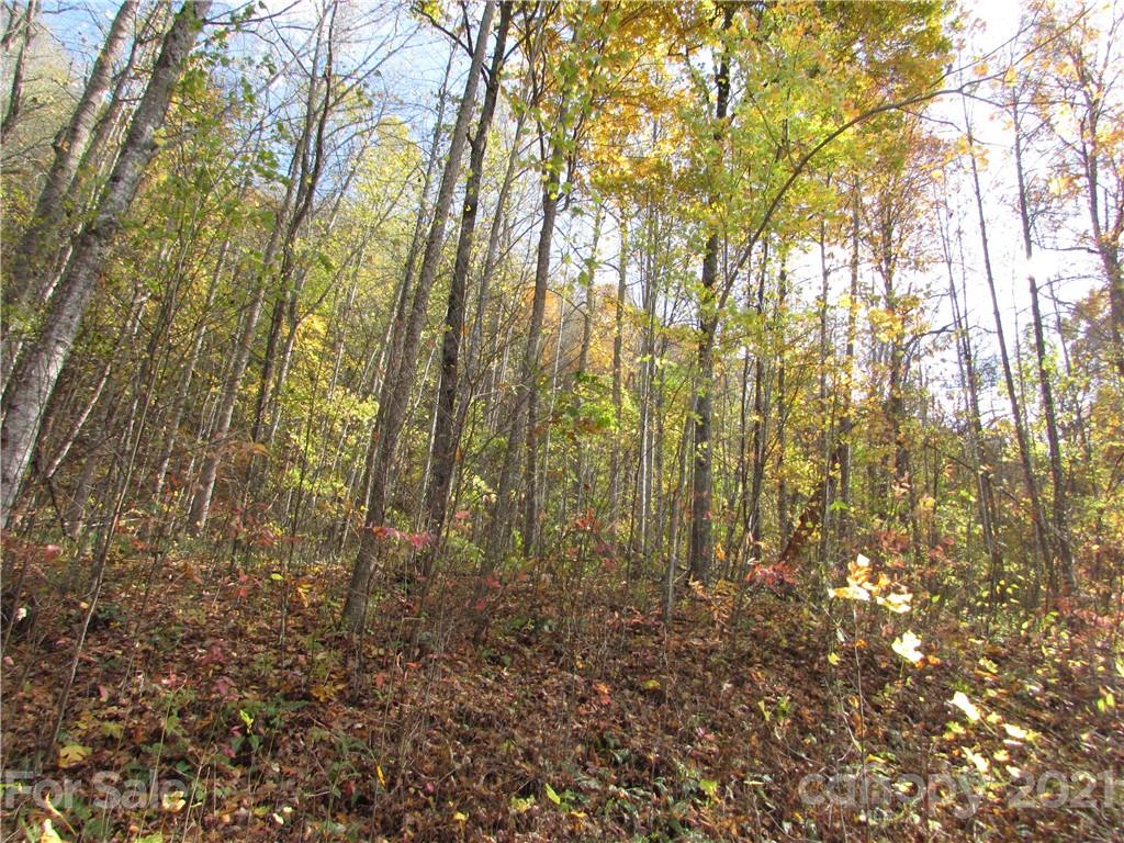 E- 6 Red Wolf Run Mars Hill NC 28754