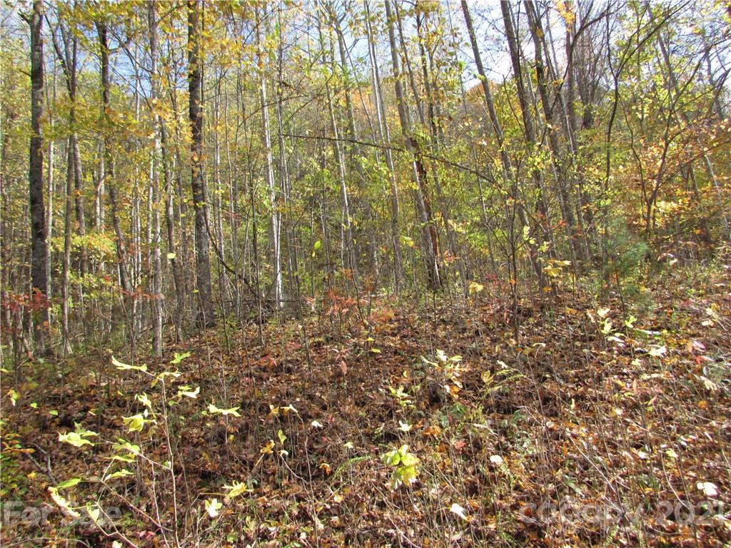 E- 6 Red Wolf Run Mars Hill NC 28754