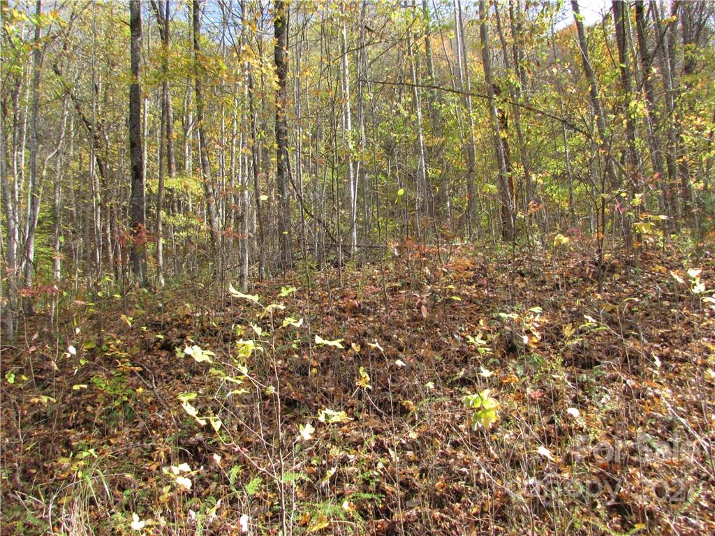 E- 6 Red Wolf Run Mars Hill NC 28754