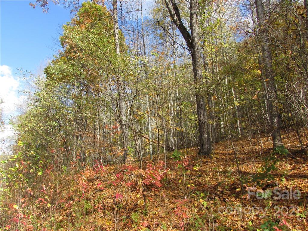 E- 6 Red Wolf Run Mars Hill NC 28754