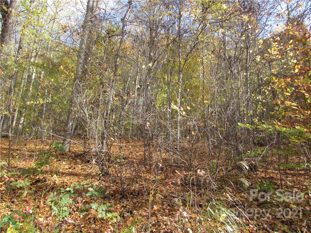 E- 6 Red Wolf Run Mars Hill NC 28754