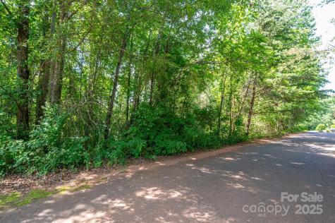 Lot #24 Deacons Ridge Drive Rutherfordton NC 28139