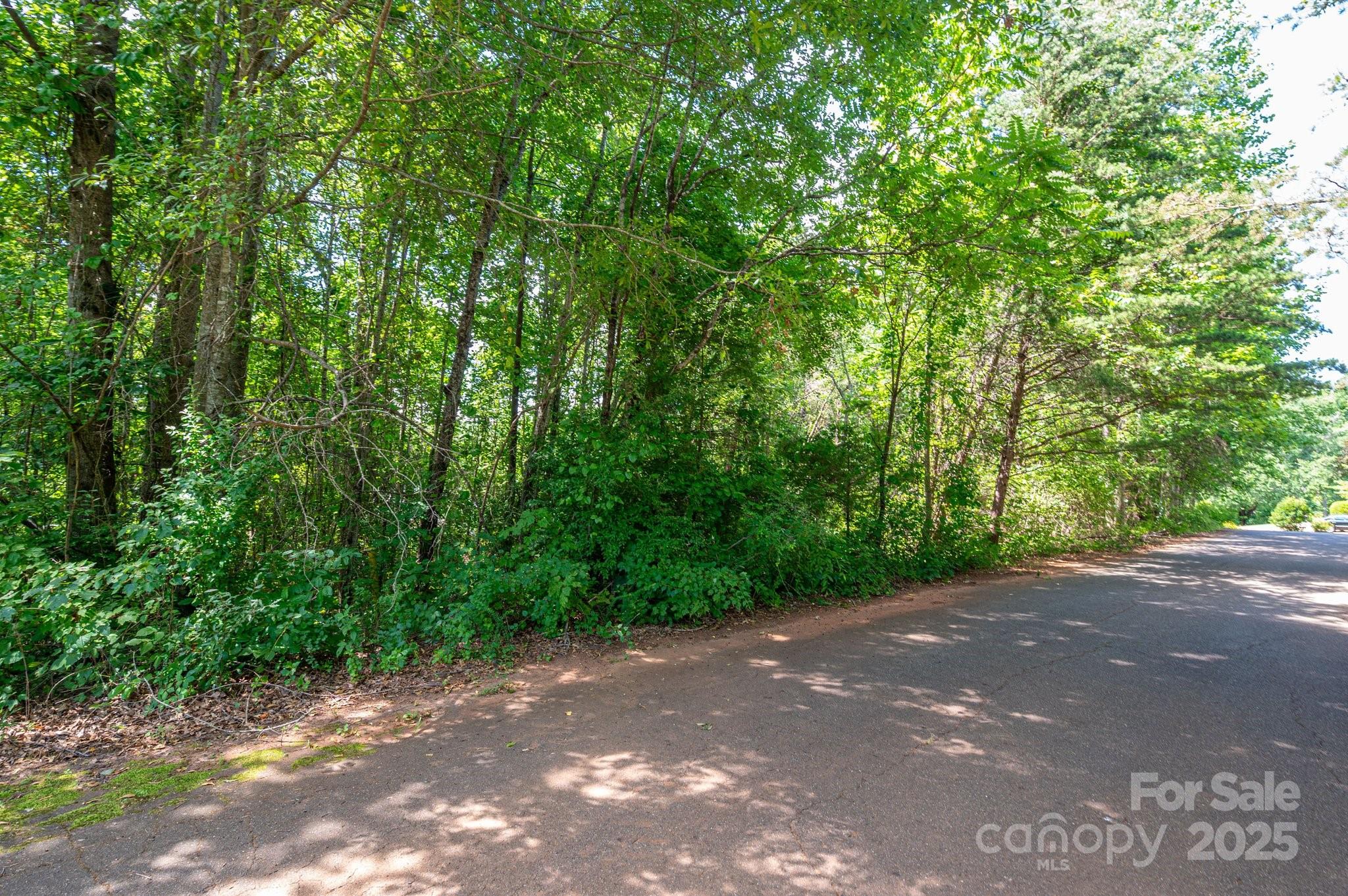 Lot #24 Deacons Ridge Drive Rutherfordton NC 28139