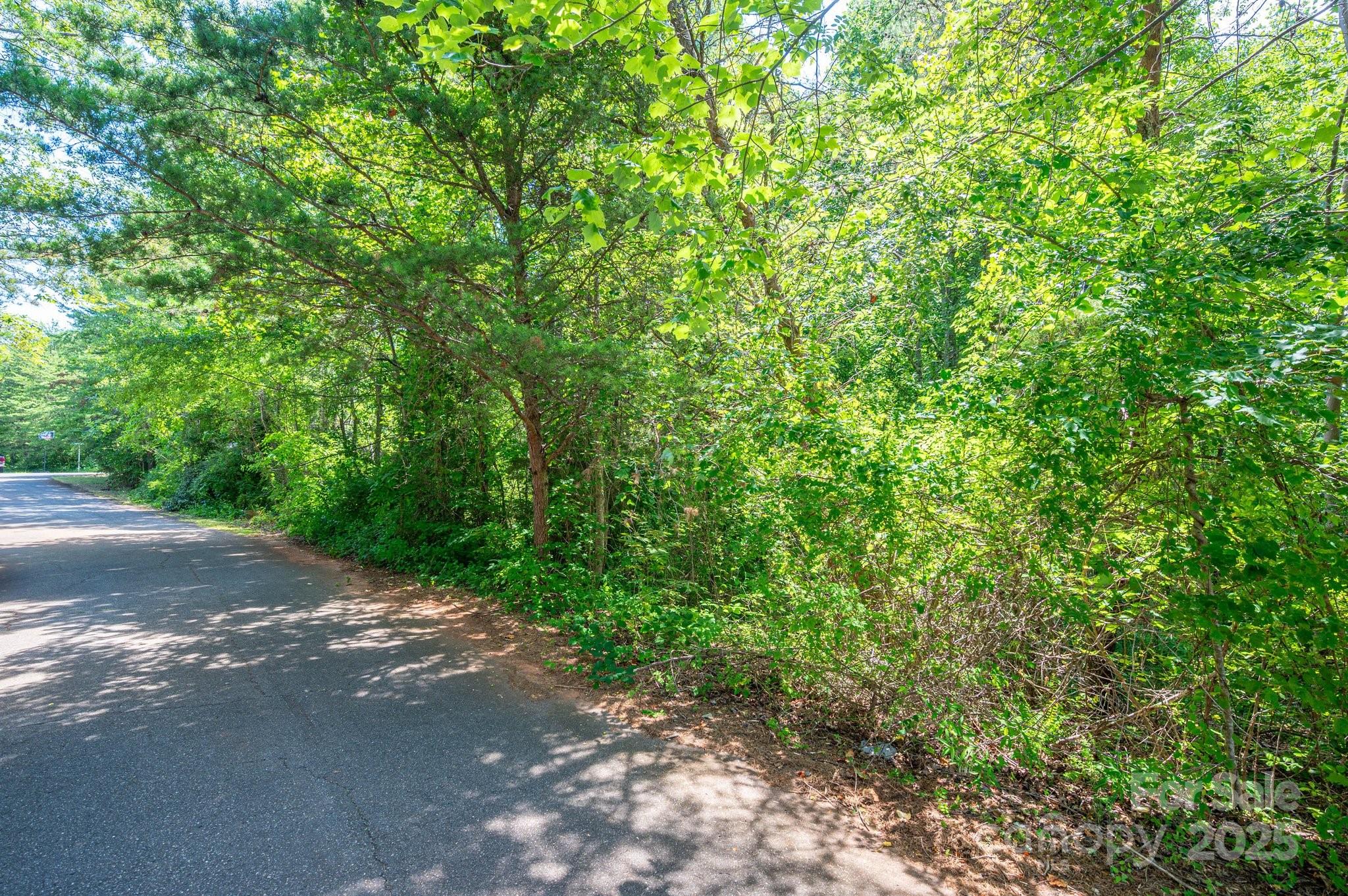 Lot #24 Deacons Ridge Drive Rutherfordton NC 28139