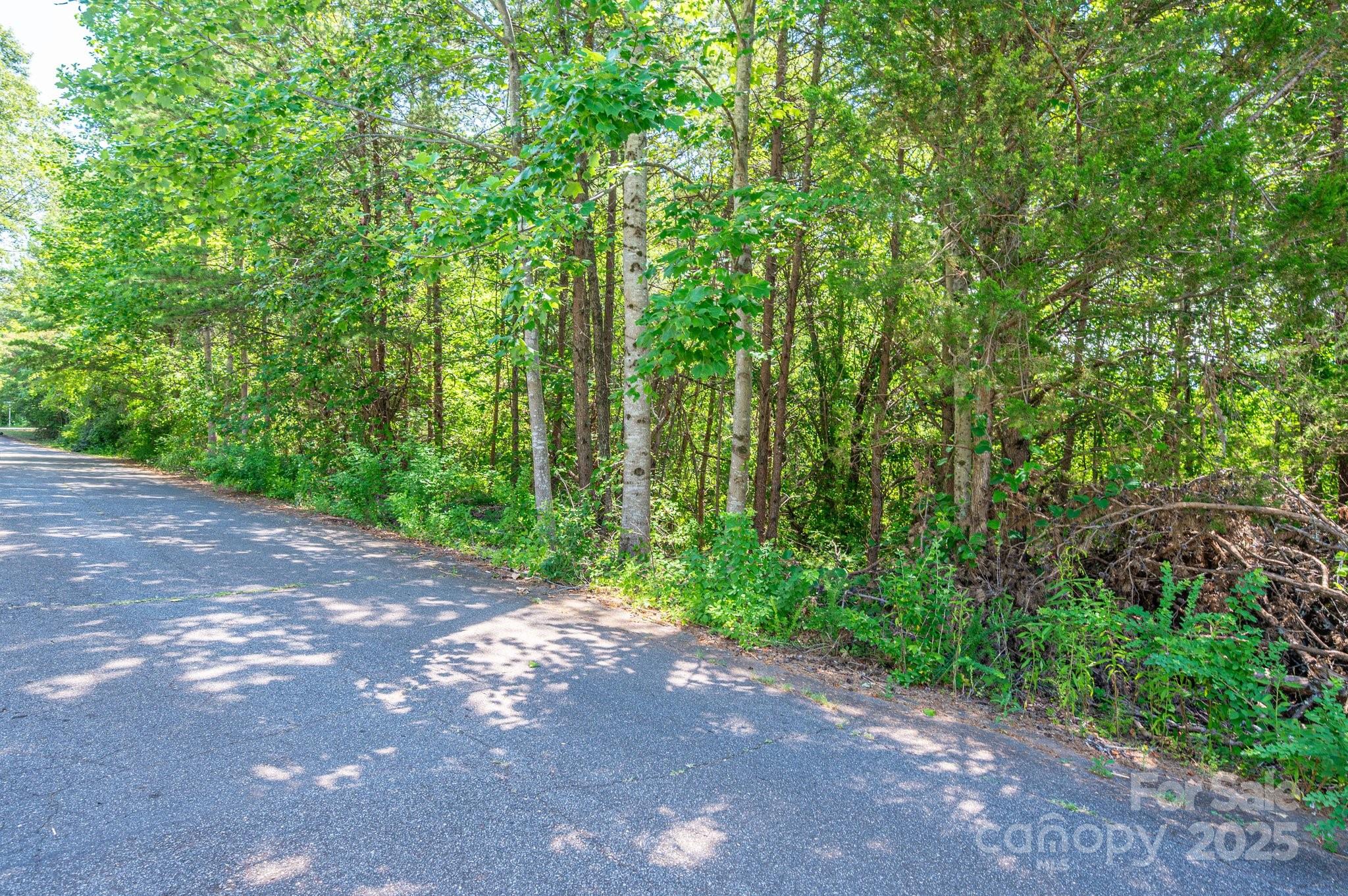 Lot #24 Deacons Ridge Drive Rutherfordton NC 28139