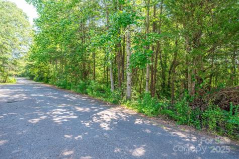 Lot #24 Deacons Ridge Drive Rutherfordton NC 28139