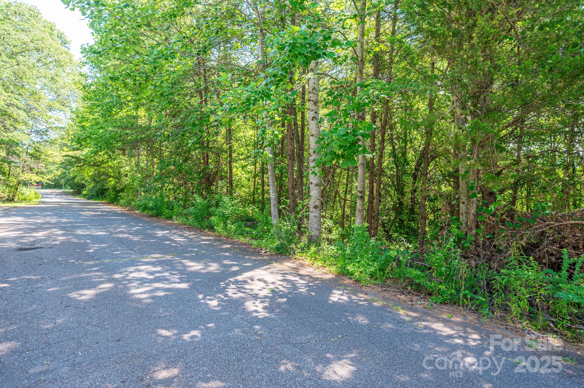 Lot #24 Deacons Ridge Drive Rutherfordton NC 28139