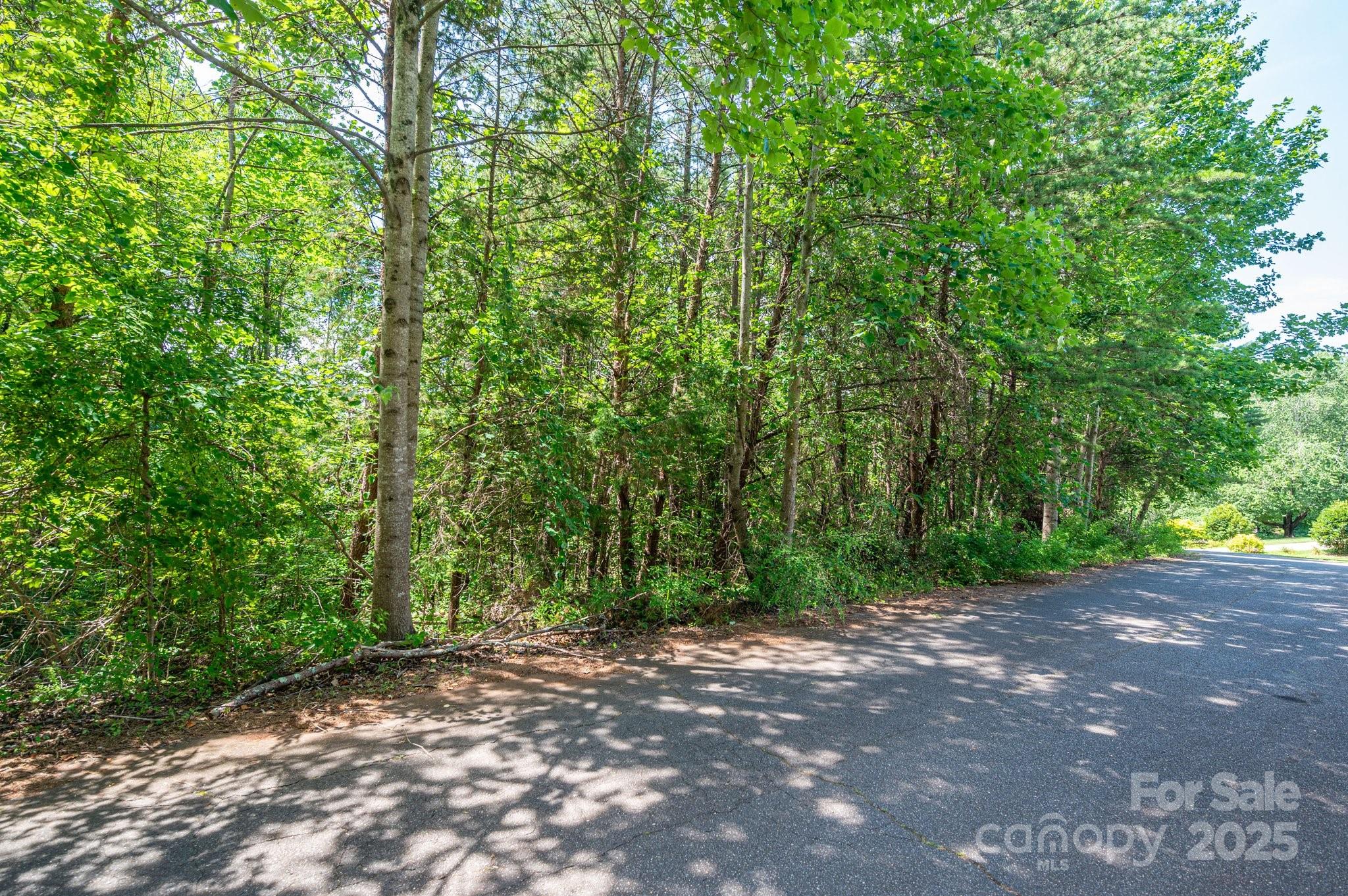 Lot #24 Deacons Ridge Drive Rutherfordton NC 28139