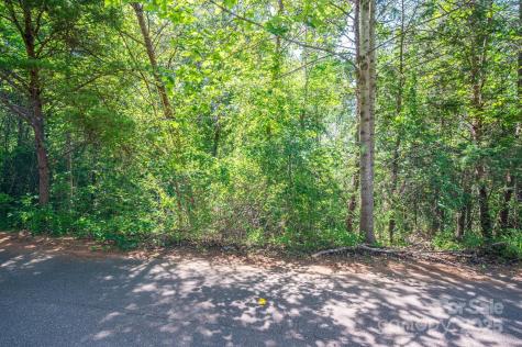 Lot #24 Deacons Ridge Drive Rutherfordton NC 28139