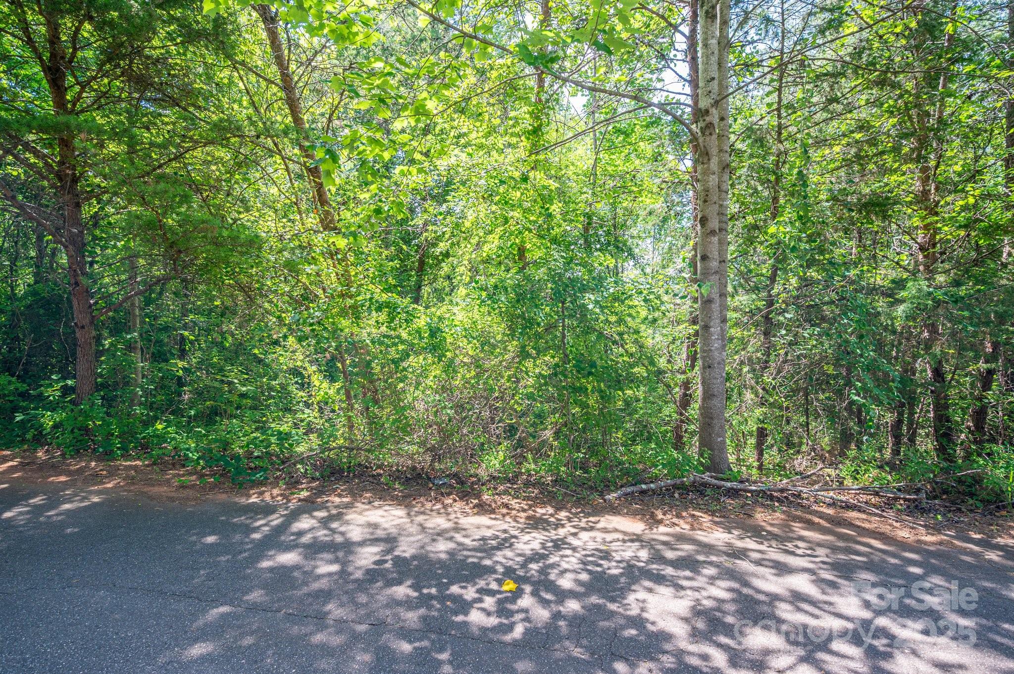 Lot #24 Deacons Ridge Drive Rutherfordton NC 28139