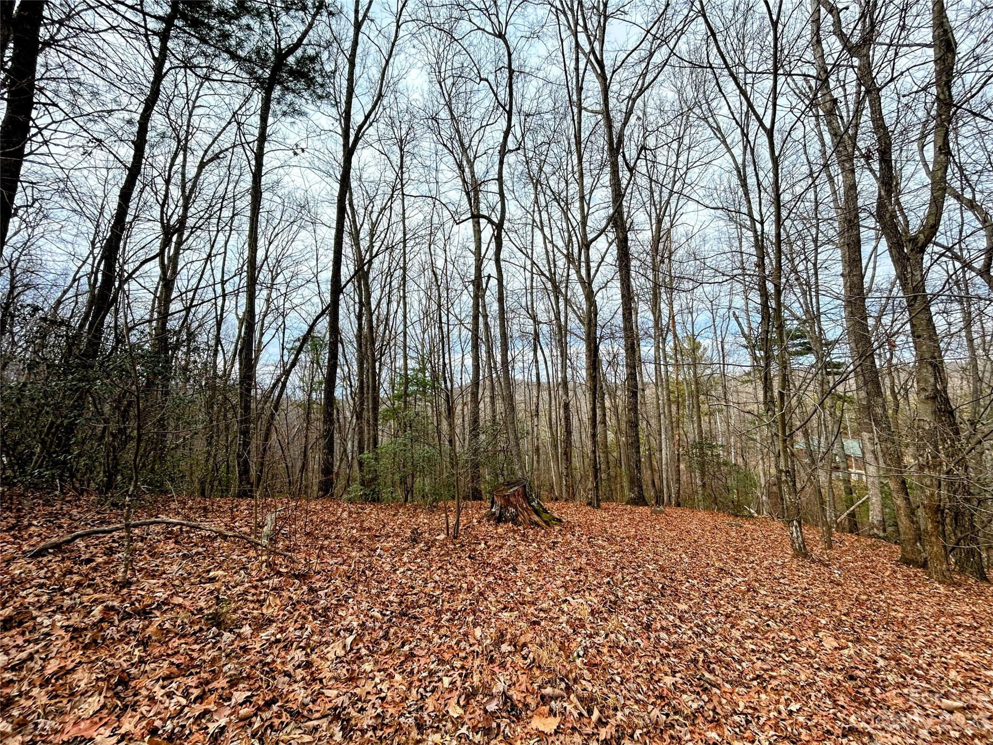 Lot 11 Rhododendron Drive Saluda NC 28773