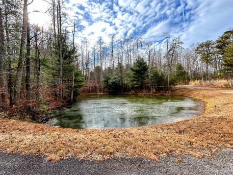 Lot 11 Rhododendron Drive Saluda NC 28773