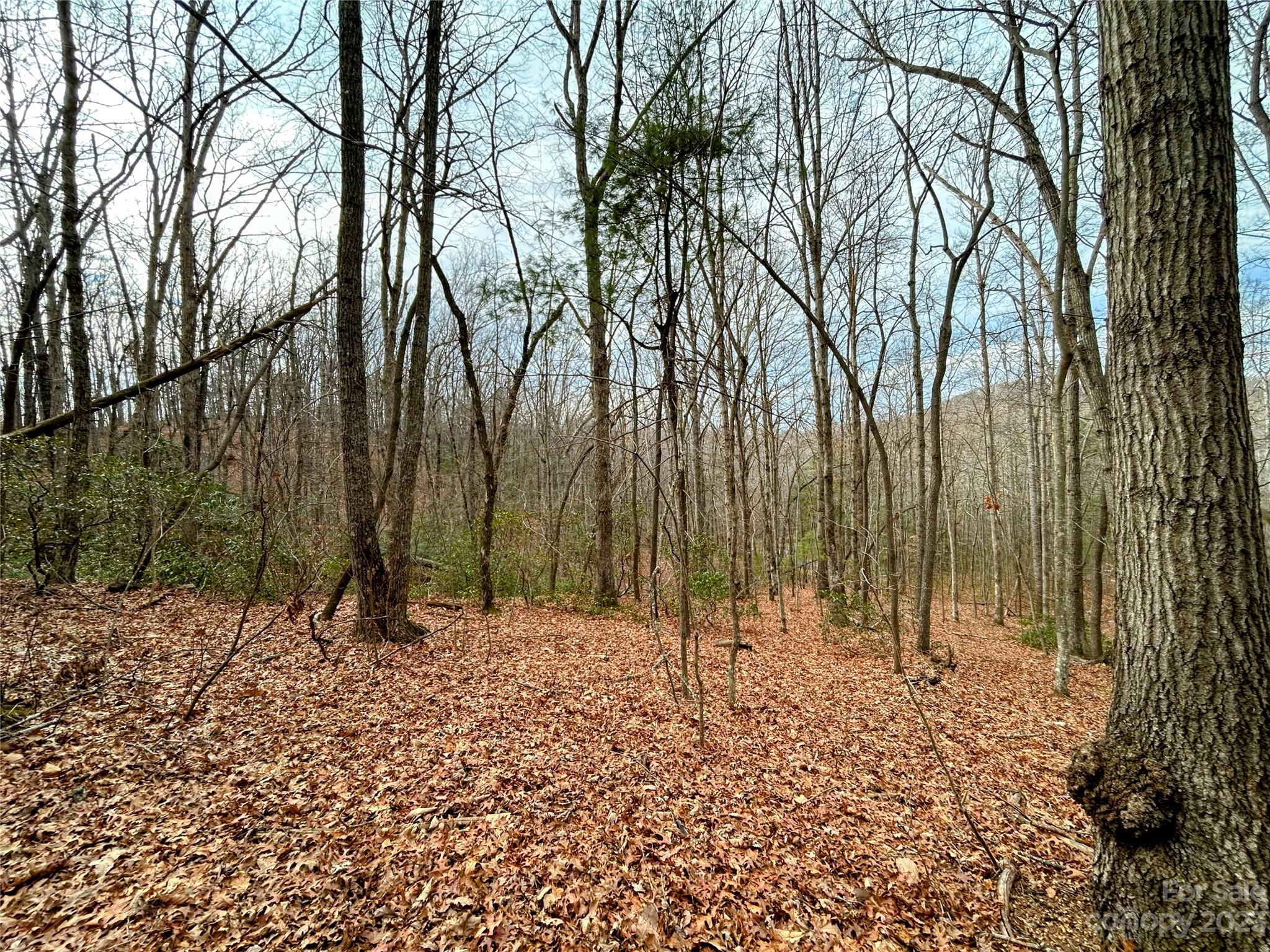 Lot 11 Rhododendron Drive Saluda NC 28773