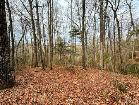 Lot 11 Rhododendron Drive Saluda NC 28773