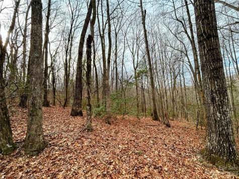 Lot 11 Rhododendron Drive Saluda NC 28773