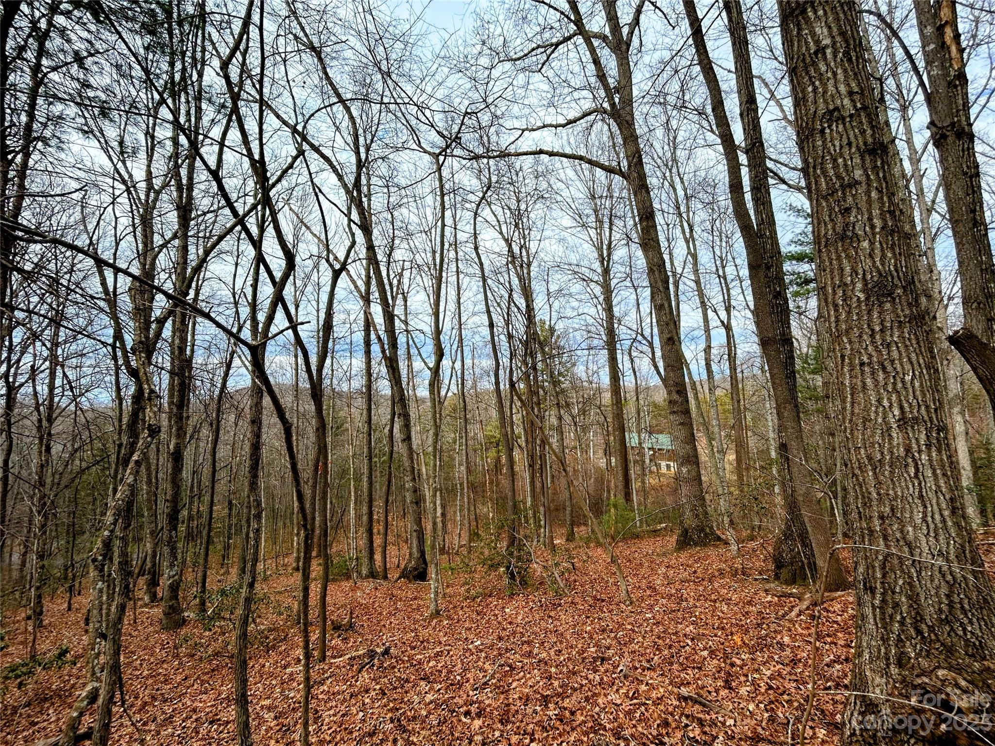 Lot 11 Rhododendron Drive Saluda NC 28773