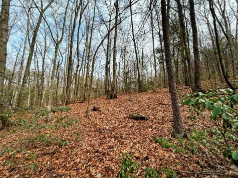 Lot 11 Rhododendron Drive Saluda NC 28773