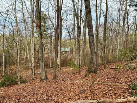 Lot 11 Rhododendron Drive Saluda NC 28773