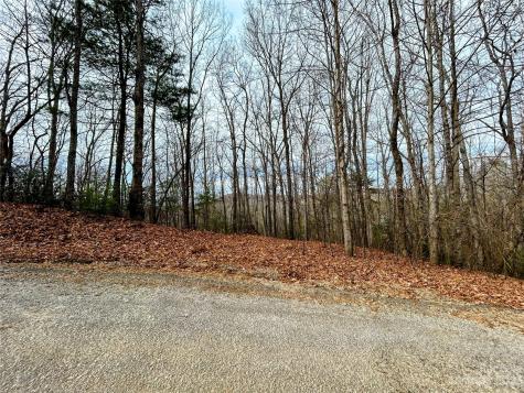 Lot 11 Rhododendron Drive Saluda NC 28773